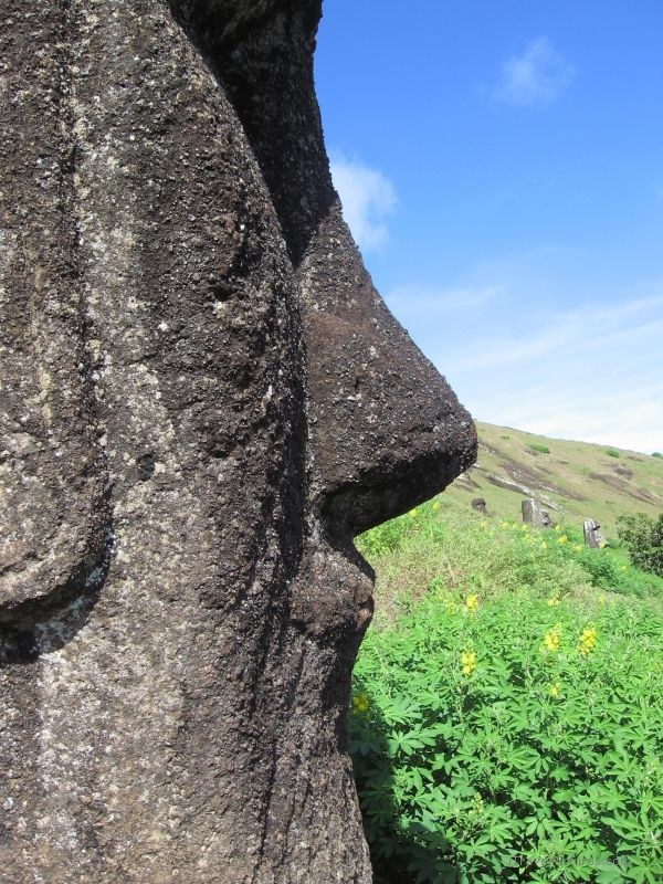 maoi standing Rano Raraku